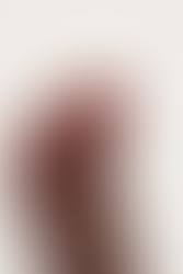 Lansing, Michigan newborn photographer