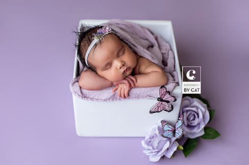 Lansing, Michigan newborn photographer