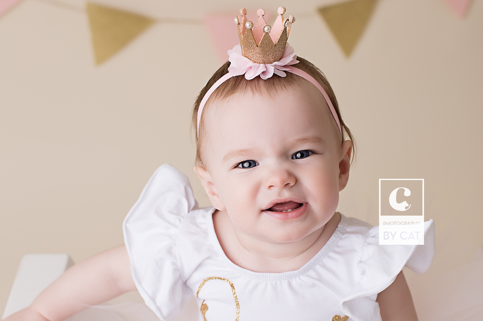 Michigan Newborn Photographer