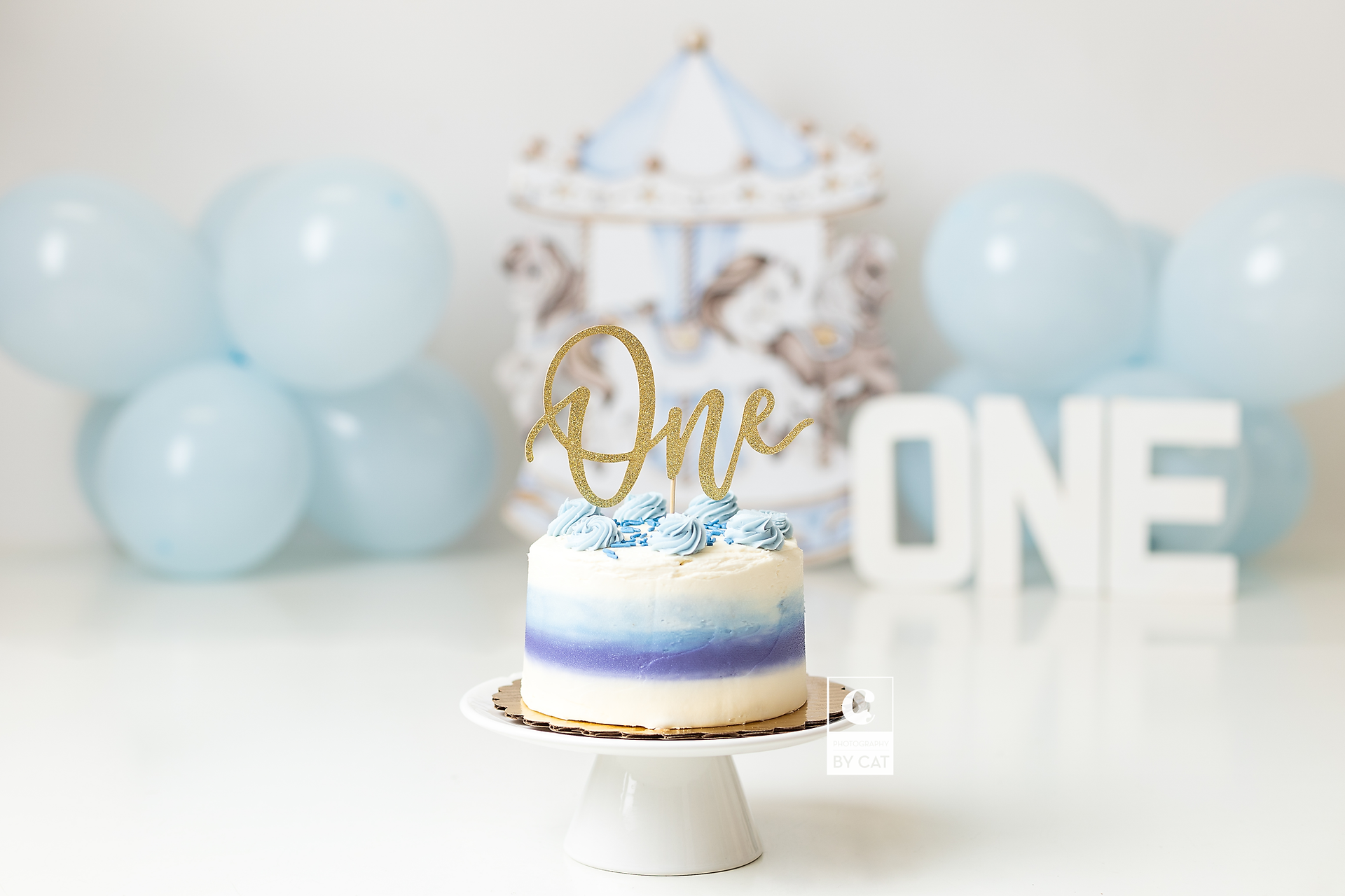 Lansing, Michigan first birthday cake smash photographer