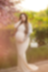 Lansing, Michigan maternity photographer