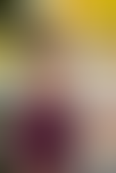 Okemos, Michigan senior photographer