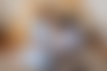 East Lansing, Michigan newborn photographer