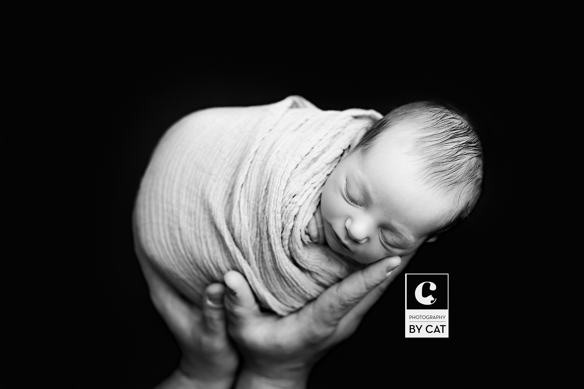 Farmington hills, Michigan Newborn Photographer
