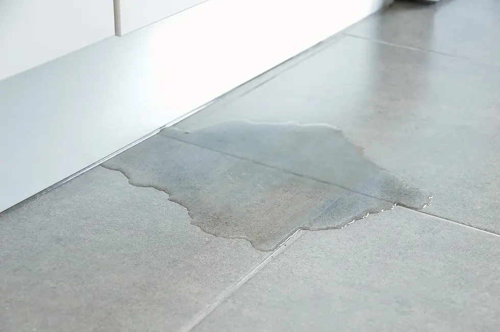 Wet tile flooring indicating hidden slab leak water damage.
