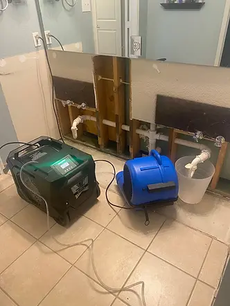 professional drying equipment in laundry room