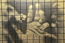 Hånd_Theresienstadt