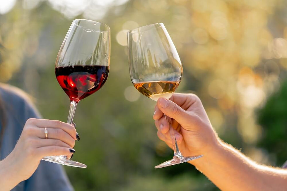 Discover the Best Texas Hill Country Wineries Near Marble Falls: two people are enjoying wine