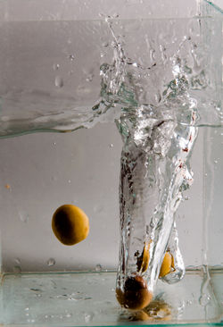 Fábio_Fonseca;_Fernanda_Guerra;_Juliana_Abate_5