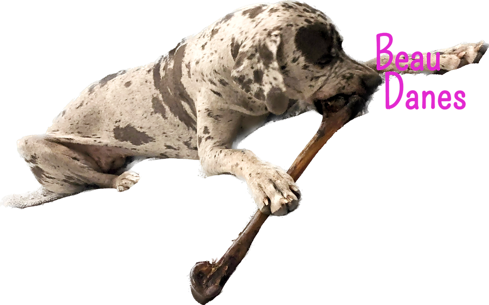 Subject (20)_edited.png