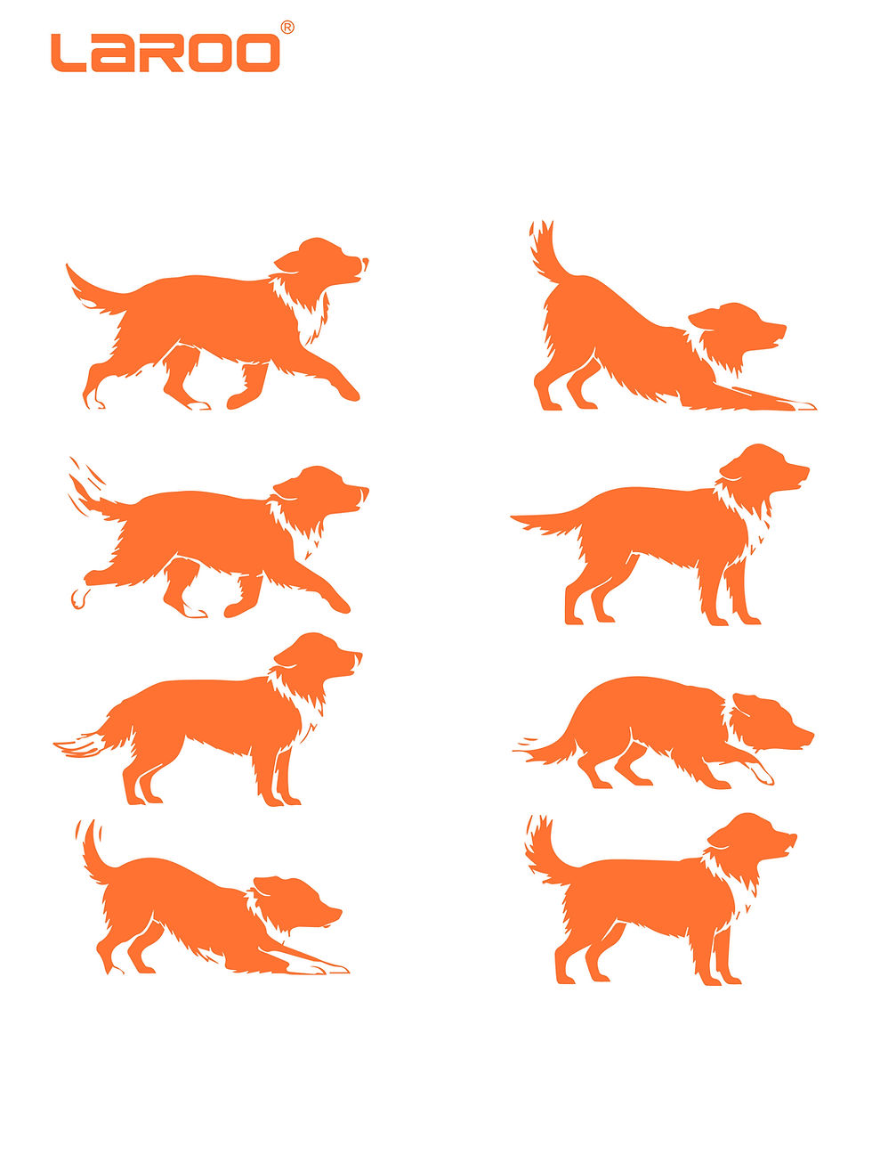 Dog Tail Language: What Your Dog’s Tail Is Really Telling You