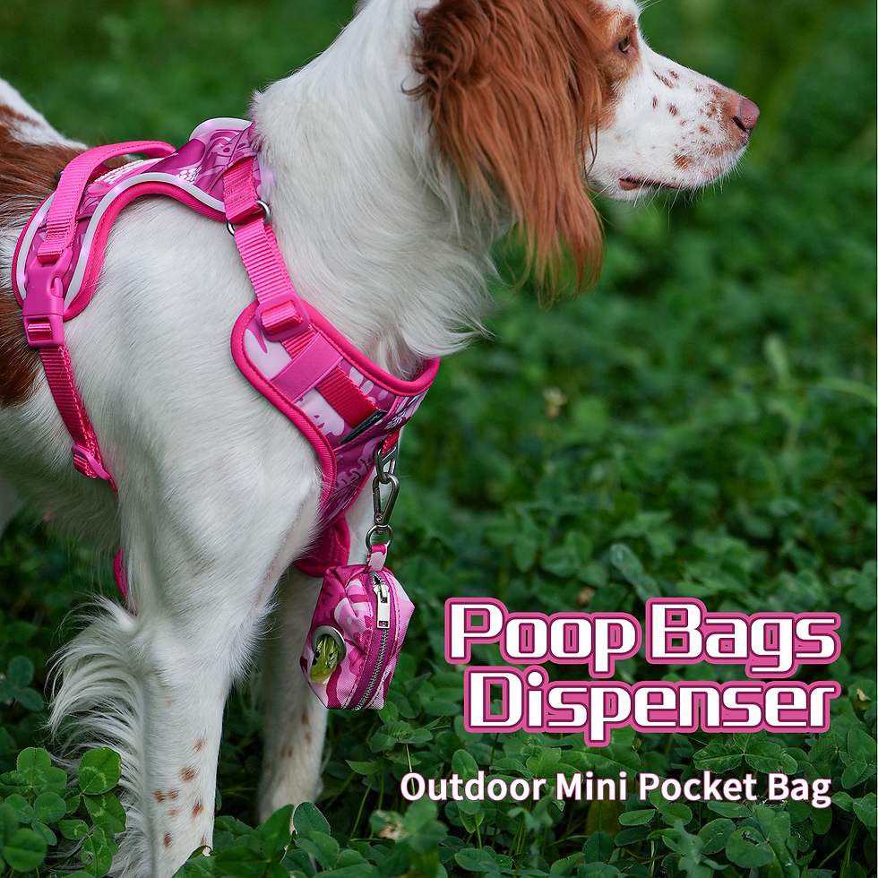 Thumbnail: Poop Bags Dispenser-Rose