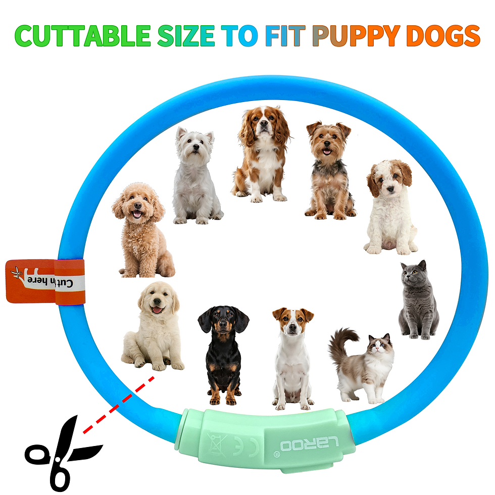 Thumbnail: LED Collar -F35-Royalblue