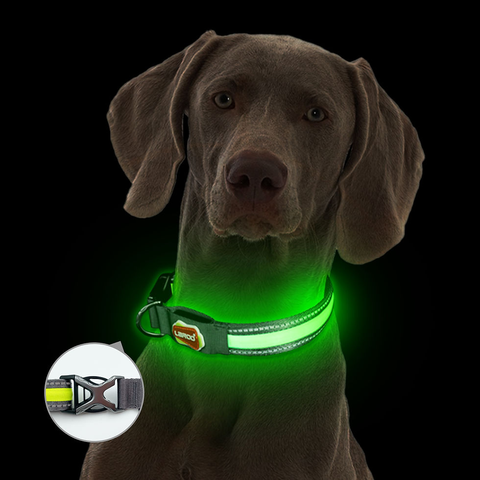 Thumbnail: Supreme Glow Collar