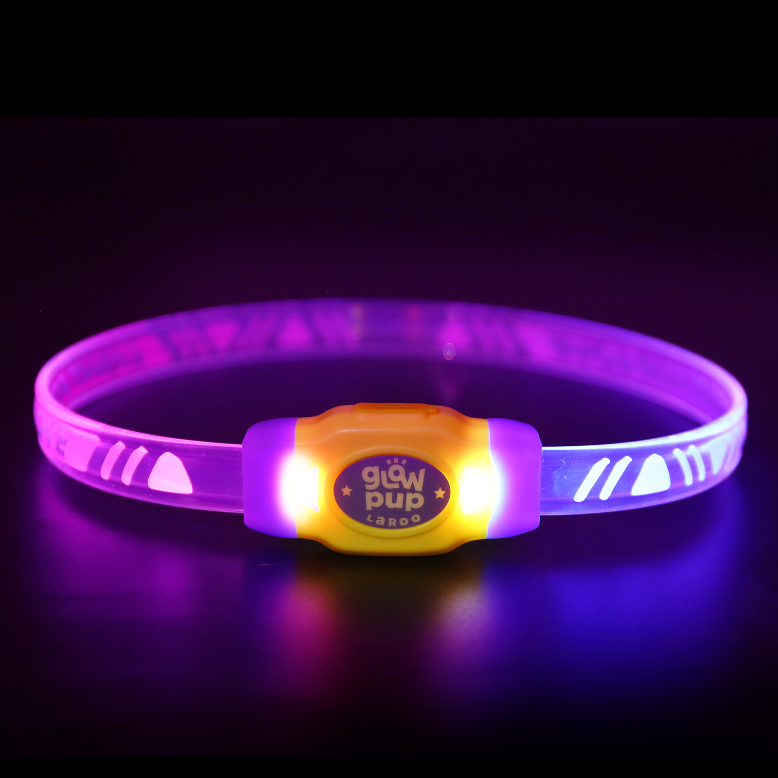 ColorCollar - purple