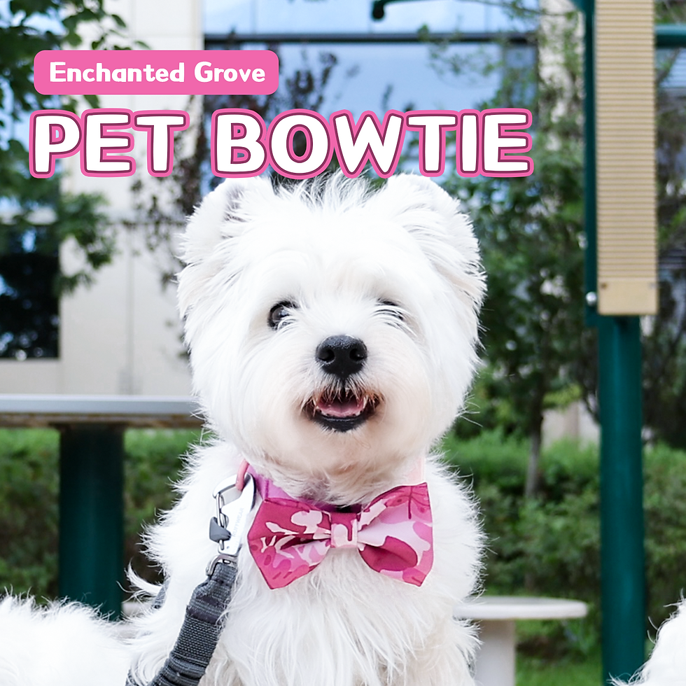 Thumbnail: Pet Bowtie-Rose