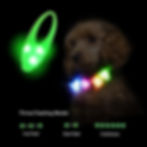 Thumbnail: Pet Blinker-Green