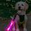 Thumbnail: Glow Helper-Rose