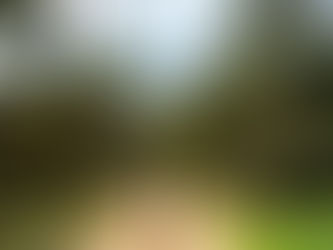 Südkorea Seoul Reiseguide 2026 + Karte + unsere Geheimtipps 