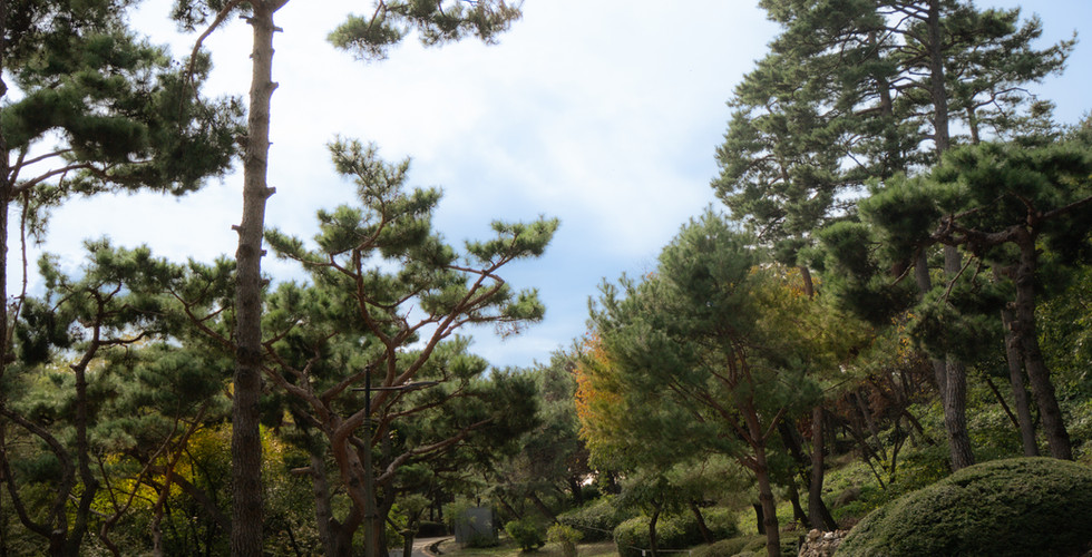 Botanischer Garten Seoul 
