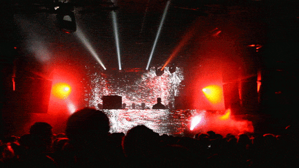 whp-2016.gif