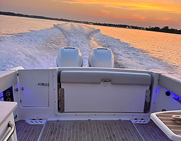 Boston Whaler Picture.jpg