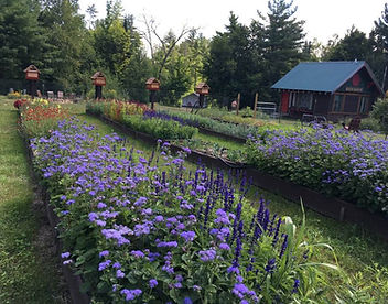 garden 2.jpg