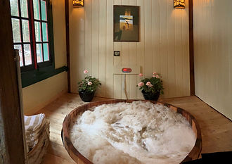 Hot tub 1.jpg