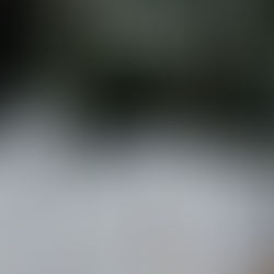 MUSEU CASA JOÃO E ISRAEL PINHEIRO CELEBRA FIM DE RESTAURAÇÃO DO MURO EXTERNO