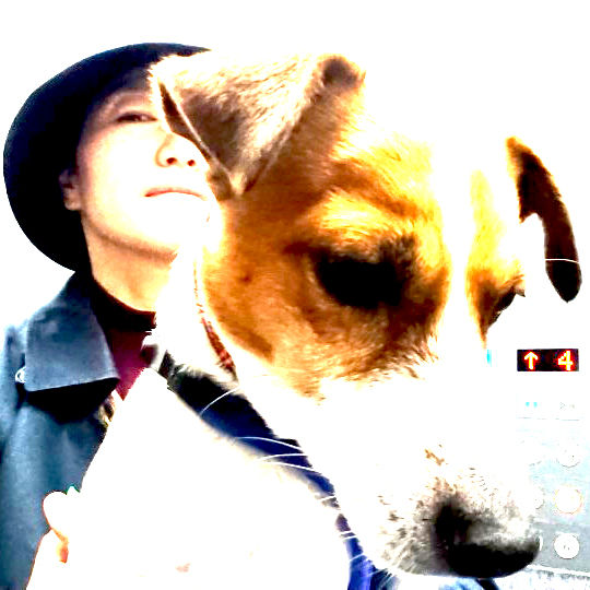 Maiko K. Tsujii.jpg