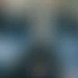 Stickers for Wedding Gifts | Custom Champagne or Wine Bottle Stickers | Tied with Blue Bow | Paper Daisies