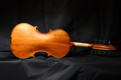 Hardanger 9-string d'Amore (2026) No. 97