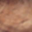 brown-design-dried-172288.jpg