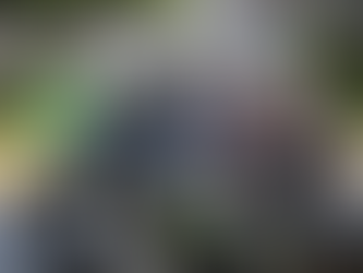 Cada accidente es una historia interrumpida