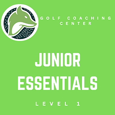 Golf cOACHING cENTER (1).png