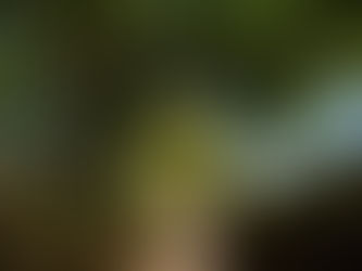 El Umbral de Iniciación