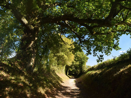 El Umbral de Iniciación