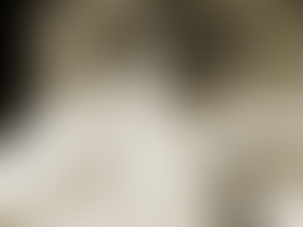 Sentidos humanos básicos