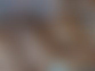 Espíritu y la materia