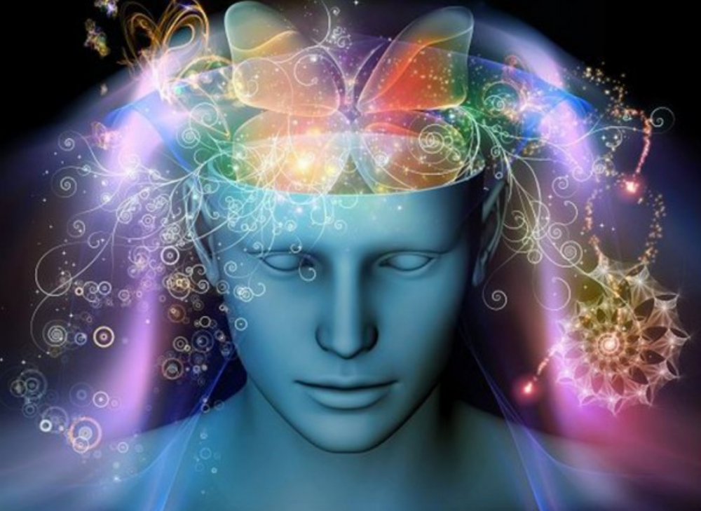 Alimenta tu Cerebro: Neuronas Sana y Fuerte