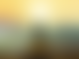 Mejorando la Concentración