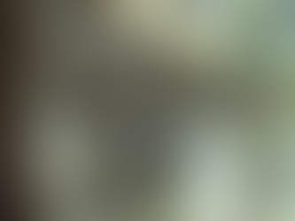 La verdadera comprensión