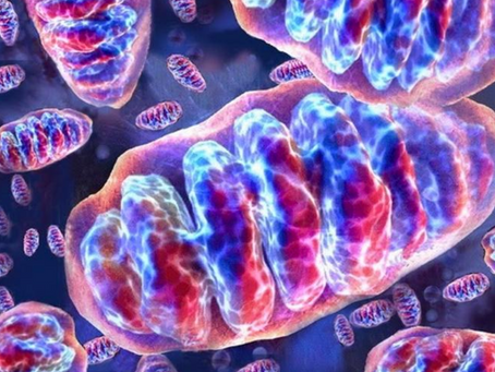 La enfermedad mitocondrial agota la energía