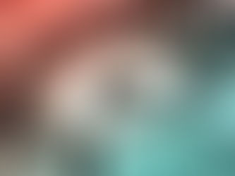 Los objetivos principales de la élite de poder