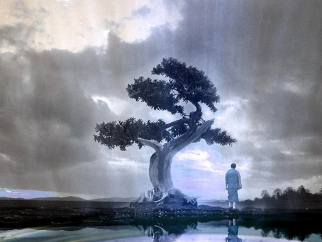 Ley de Causa y Efecto