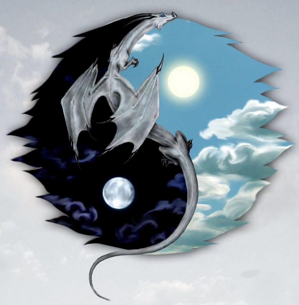 Драконы инь и янь картинки