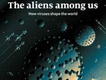 Impulsando las narrativas