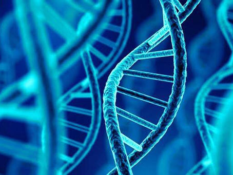 Función espiritual del ADN