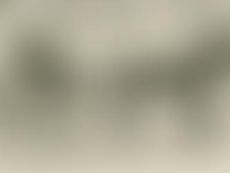 La parábola del carruaje