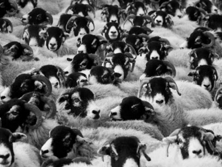 Cultura de la indignación